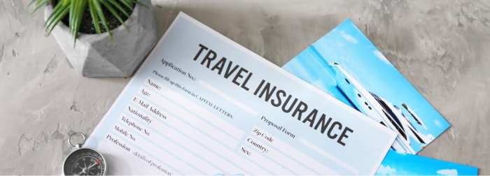 A Guide To Travel Insurance Online: Everything You Need To Know- Visa2fly